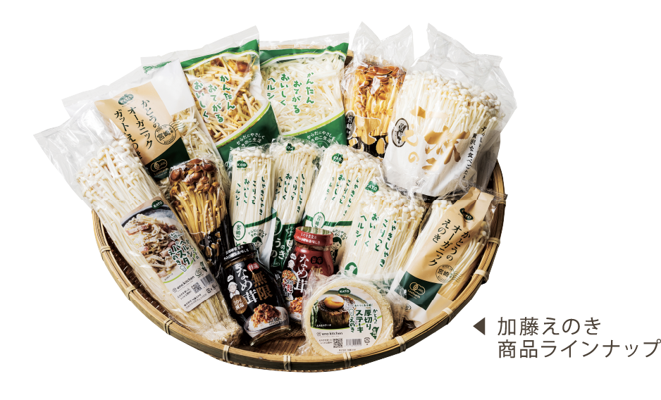 加藤えのき 商品ラインナップ