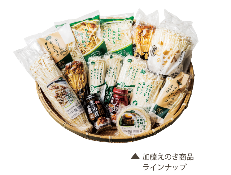 加藤えのき 商品ラインナップ